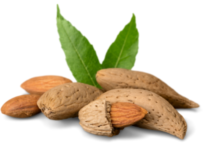 aceite de almendras Teky Labs