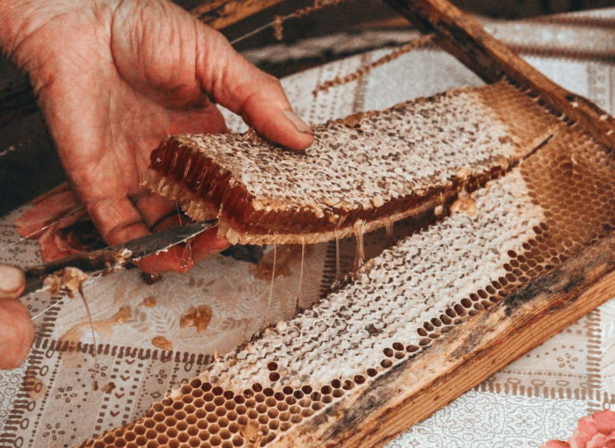 Cera de Abejas: Usos y Beneficios Teky Labs